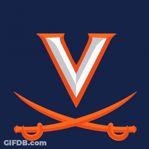 A Sign That Says Vote Early With Two Crossed Swords On It GIF