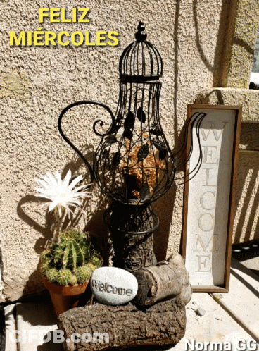 A Sign That Says Welcome Sits Next To A Cactus And A Bird Cage GIF