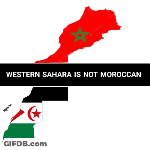 A Sign That Says Western Sahara Is Not Moroccan GIF