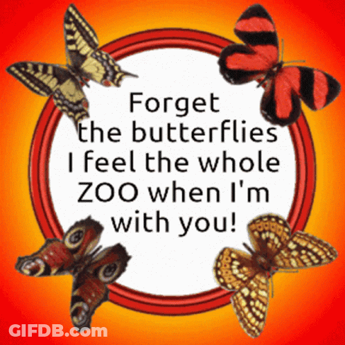 A Sign With Butterflies And The Words Forget The Butterflies I Feel The Whole Zoo When I 'M With You GIF