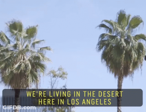 A Sign With Palm Trees And The Words We 'Re Living In The Desert Here In Los Angeles GIF