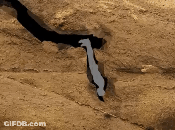 A Silhouette Of A Bat Is Flying Over A Rocky Area GIF