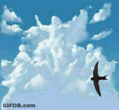A Silhouette Of A Bird Flying Through A Cloudy Blue Sky GIF