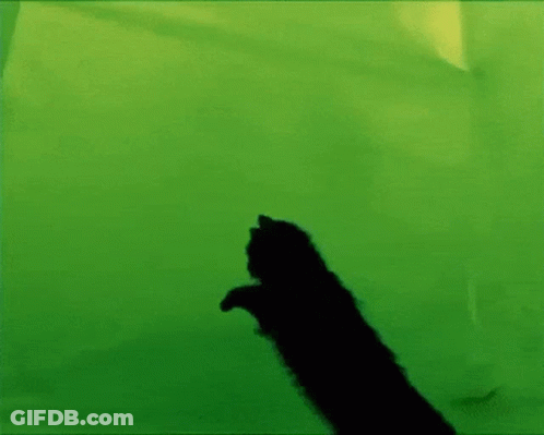 A Silhouette Of A Black Cat Laying On A Green Background . GIF