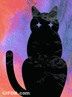 A Silhouette Of A Cat With Stars In Its Eyes On A Colorful Background GIF