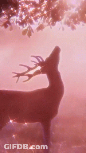 A Silhouette Of A Deer With Antlers Standing In A Field With A Pink Background . GIF