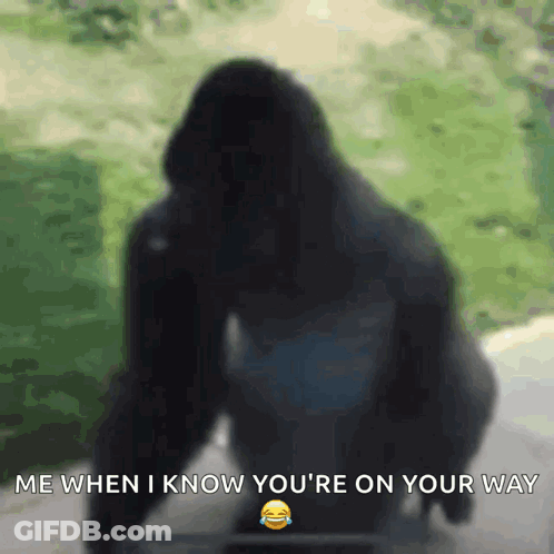 A Silhouette Of A Gorilla With The Words Me When I Know You 'Re On Your Way GIF