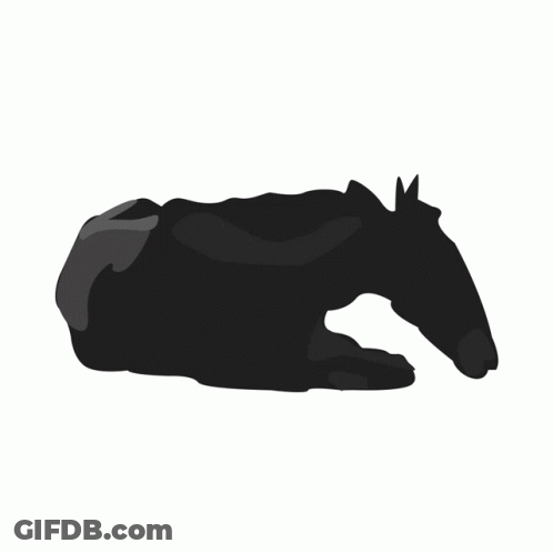 A Silhouette Of A Horse With A Saddle On It GIF