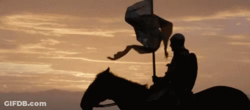 A Silhouette Of A Man Riding A Horse With A Flag GIF