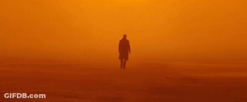 A Silhouette Of A Man Walking In A Foggy Desert GIF