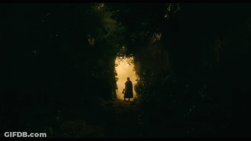 A Silhouette Of A Man With A Beard In The Woods GIF