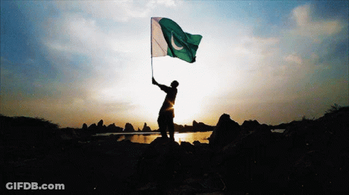 A Silhouette Of A Person Holding A Flag In Front Of A Lake GIF