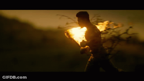 A Silhouette Of A Person Holding A Torch In A Field GIF