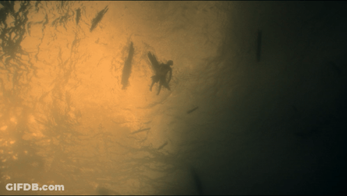 A Silhouette Of A Person In The Water With A Yellow Background GIF
