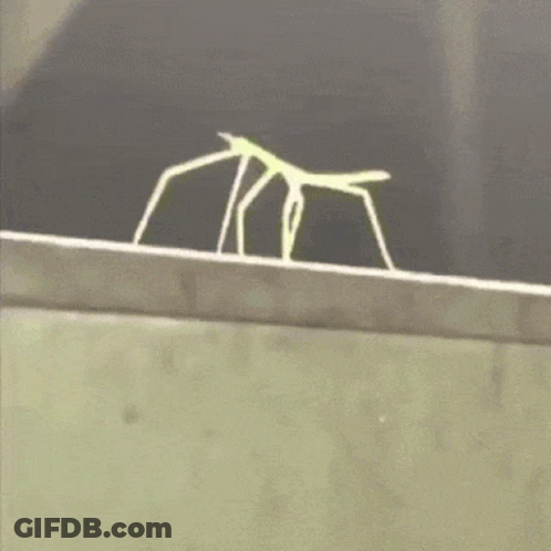 A Silhouette Of A Person Is Standing On A Ledge GIF