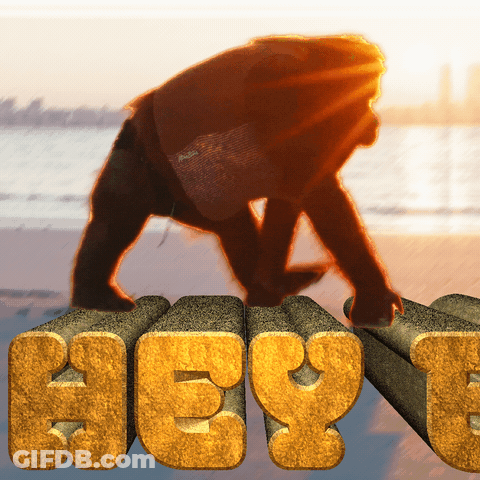 A Silhouette Of A Person On A Beach With The Word Hey In Front Of Them GIF