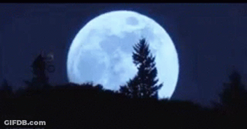 A Silhouette Of A Person On A Bike Flying In Front Of A Full Moon GIF