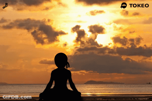 A Silhouette Of A Person Sitting On A Beach With A Tokeo Logo In The Corner GIF