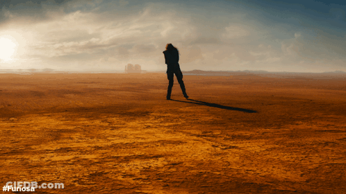 A Silhouette Of A Person Standing In A Desert With #Furiosa Written On The Bottom GIF