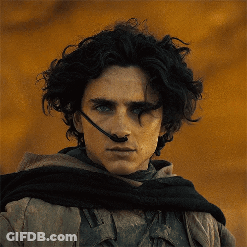 A Silhouette Of A Person Standing In A Field With A Sword GIF