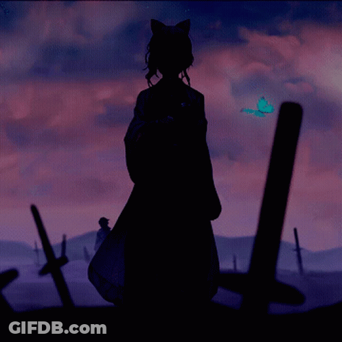 A Silhouette Of A Person Standing In A Field With Swords In The Foreground GIF