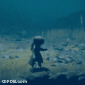 A Silhouette Of A Person Standing On A Rock In The Water GIF