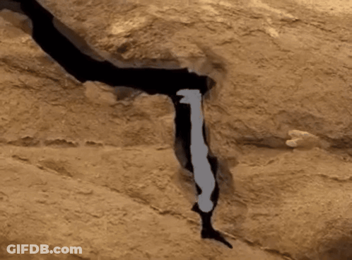 A Silhouette Of A Person Standing On A Rock GIF