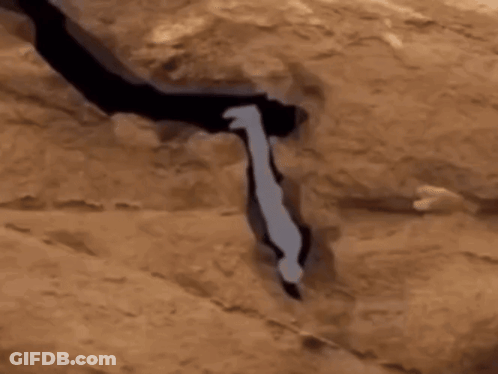 A Silhouette Of A Person Standing On A Rock GIF