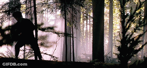 A Silhouette Of A Person Walking Through A Forest GIF