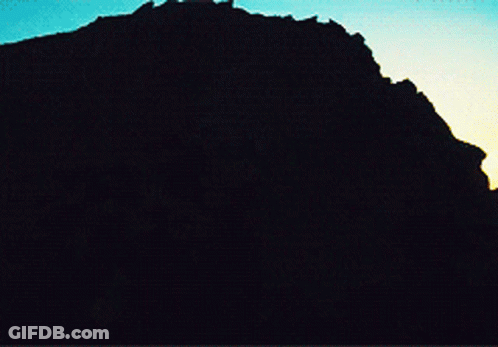A Silhouette Of A Person With A Bird Flying In The Sky GIF