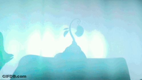 A Silhouette Of A Plant Growing Out Of The Ground GIF