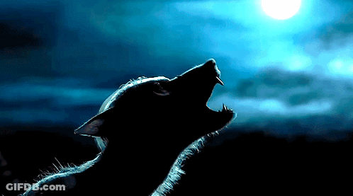 A Silhouette Of A Werewolf Howling At A Full Moon GIF