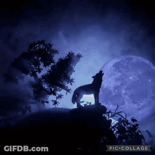 A Silhouette Of A Wolf Howling At A Full Moon GIF