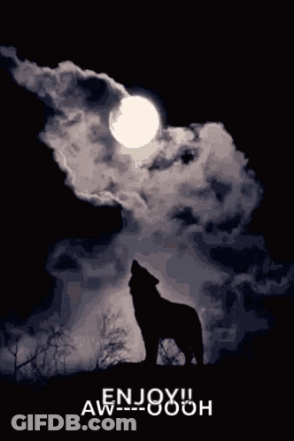 A Silhouette Of A Wolf Howling At A Full Moon With The Words Enjoy Aw Written Below It GIF