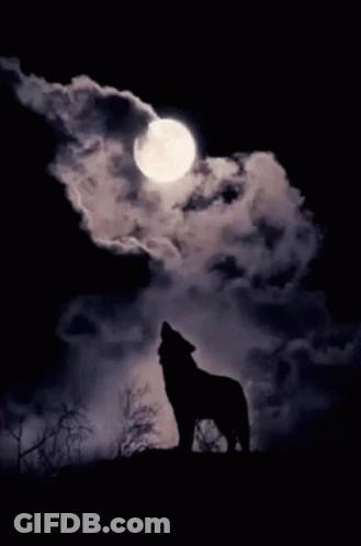 A Silhouette Of A Wolf Howling At A Full Moon GIF