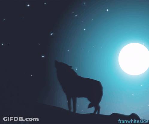 A Silhouette Of A Wolf Howling At The Moon With Franwhiteside Written Below It GIF