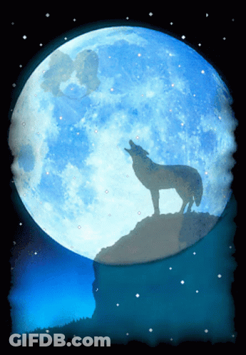 A Silhouette Of A Wolf Howling In Front Of A Full Moon GIF