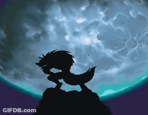 A Silhouette Of A Wolf Standing On A Rock In Front Of A Full Moon GIF
