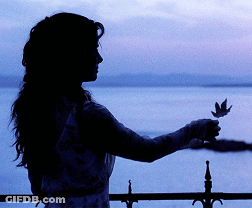 A Silhouette Of A Woman Holding A Leaf In Front Of The Water GIF