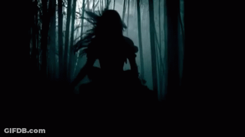 A Silhouette Of A Woman In A Dark Forest . GIF