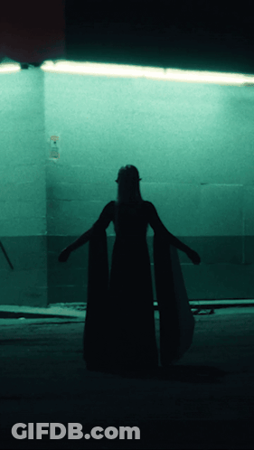 A Silhouette Of A Woman In A Long Dress Stands In Front Of A Sign That Says No Smoking GIF