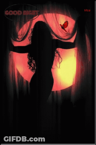 A Silhouette Of A Woman In Front Of A Full Moon With The Words Good Night Above Her GIF