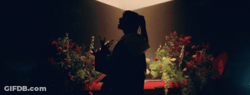 A Silhouette Of A Woman Standing In Front Of Flowers GIF