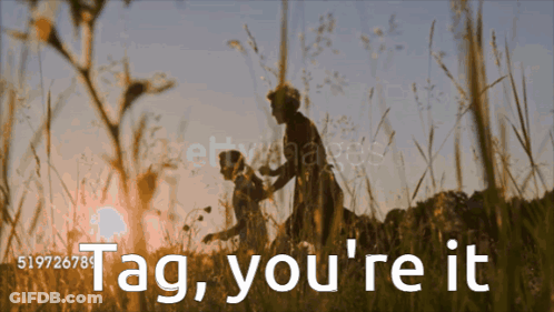 A Silhouette Of Two People In A Field With The Text Tag You 'Re It GIF