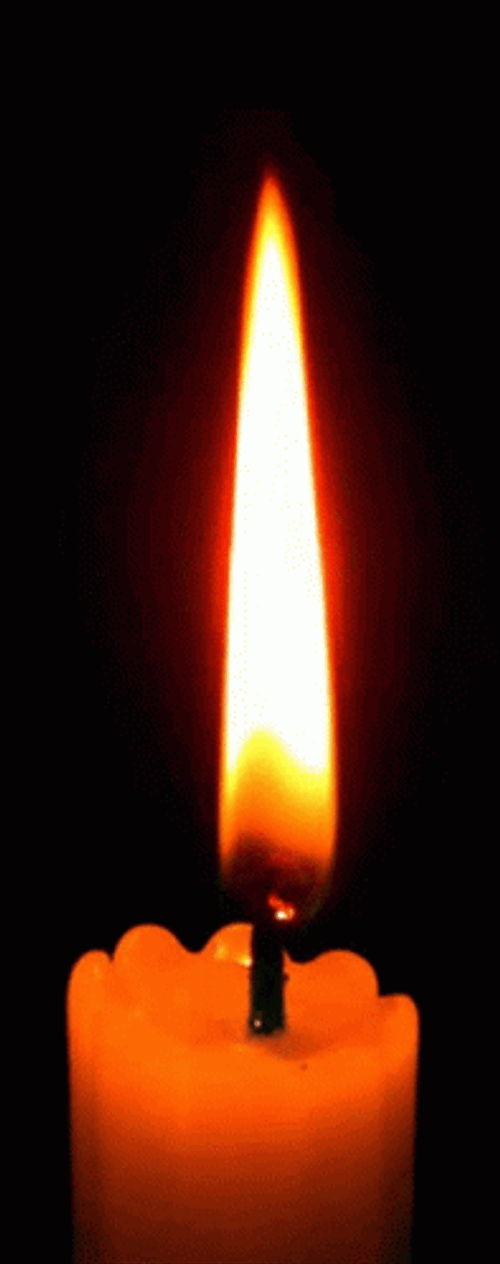 A Single Lit Bougie GIF