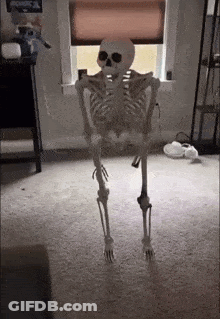A Skeleton Is Dancing In A Living Room In Front Of A Window . GIF