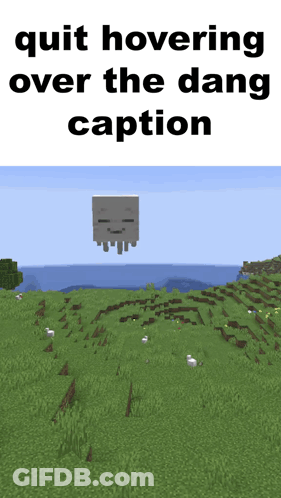 A Skeleton Is Flying Over A Grassy Field In A Minecraft Game GIF