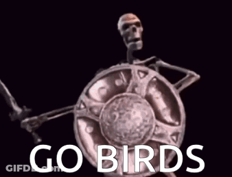 A Skeleton Is Holding A Sword And Shield With The Words `` Go Birds '' Written Above It . GIF