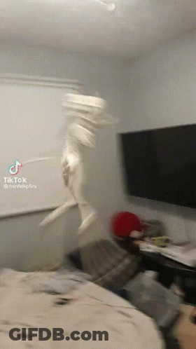 A Skeleton Is Jumping In The Air In A Room With A Tiktok Video GIF