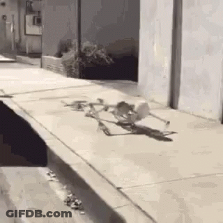 A Skeleton Is Laying On The Sidewalk Next To A Hole In The Sidewalk . GIF
